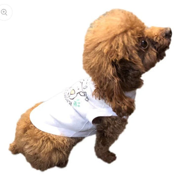 Dog Clothes